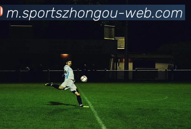 中欧体育品牌故事